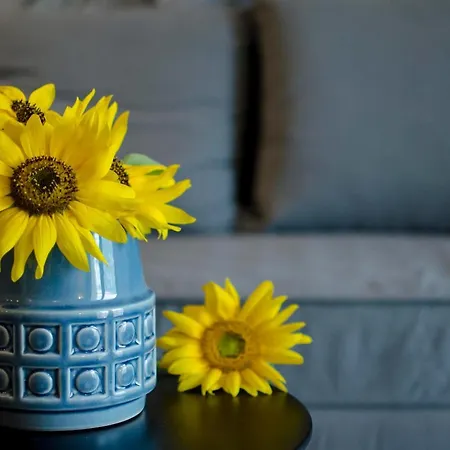 شقة Stylish Studio, Centre - Private Parking - Panoramic Views سكوبجي